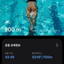 브라이트라이트 | 3월 16일 수영일기/졸린 브라이트 라이트 후기