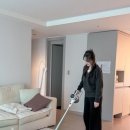 분당-383 | 신혼부부 1인가구 디안트 무선청소기 D38 Edition 후기❤️