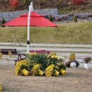 동구리산림욕장 공중화장실 | 충북 음성 당일치기 여행 봉학골산림욕장과 봉학골정원 솔직 후기-2