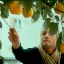 모과나무집 이미지