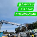 고고써치