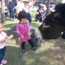 영해어린이집 이미지