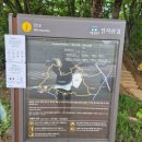 전주 산책하기 좋은 여행코스 전북천리길 건지산길