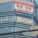 에버에이스 복싱 BOX-1 덕은 이미지