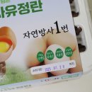 주식회사 깨끗한푸드