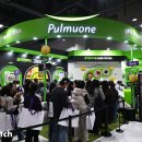 컬리 살롱 이미지