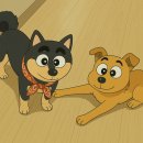 처인 견인차량 보관소 | [용인 애견카페 추천] 중대형견 천국 ‘견인지역’ - 운영시간 가격 후기 총정리