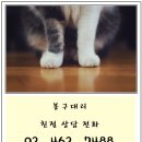네비아이 이미지