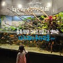 다누리센터 아쿠아리움 | 충북 단양 아이랑 가기 좋은 대규모 민물고기 생태관 &#34; 다누리 아쿠아리움&#34;