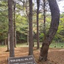 천년농장 | [강원 홍천] 천년고찰 수타사, 공작산 생태숲 산소길 트레킹 후기! (단풍 절정은 11월 초 예상)