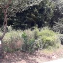 이천목장 이미지