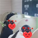 이앤수영어학원 네이버블로그