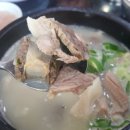 박고집 병천 즉석 순대국