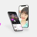 페이스파트너스