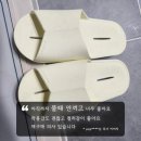 오우투 스토리. 오늘, 우리 투머치 이야기 좀 해볼까요? 오우투에게 질문 주신 부분의 투머치 답변...