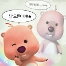 오케이 태권도장 | 6