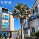 제이라움 이미지