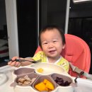 바이오농장 | 심플리케어바이오 DHA 유정란 후기, 엄마 추천템 오그레잇 난각번호 1번 계란