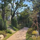 경기도 수원시 영통구 반달로 이미지