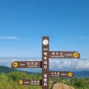 서부탑주유소 이미지