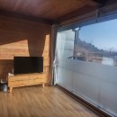 솔향기둥지 이미지