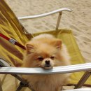 방아머리 이미지