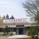 도리골토종닭
