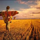 허수아비 이미지