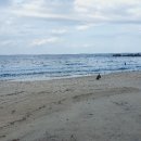 동산리 해수욕장 화장실 이미지