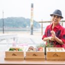 빛담은