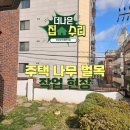 정원수 | 주택 나무 벌목, 관리 안되는 정원수 전지 작업