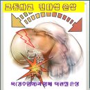 오크우드봄의원 | 도수치료)교통사고후유증,온몸통증,번아웃,자율신경이상? 오크우도봄 턱관절과 척추 자율신경 도수치료
