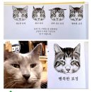 행복한고양이 이미지