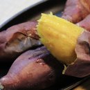 대한농산 | 이천길농산, 롯데프리미엄아울렛 이천점 직거래장터 2일간 성황리 진행