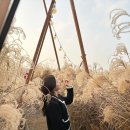 문정역 미용실 준오헤어 문정역테라타워점 해성디자이너 톤다운염색+클리닉까지 완벽!
