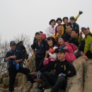 고창초교 이미지