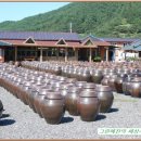 콩이랑농원
