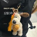권율대로 753-1 장가계 앞 | 12월 3주, 4주 일상 : 새로운 시작
