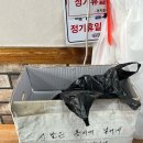 알둥지 | [원주맛집] 호불호 절대없을 알곤이탕의 대가 까치둥지 웨이팅 후 먹고왔어요 :)