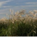 환경생태공원 이미지