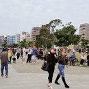 대만 타이베이 용산사·단수이 여행코스｜도심 사찰부터 노을 명소까지 하루 코스