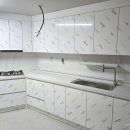 광진 pet 이미지