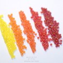 컬러심포니 이미지