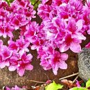 김태선농장 2 이미지