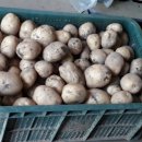 와부농업협동조합 하나로마트 이미지