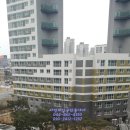 디자인동은 네이버블로그