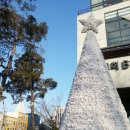 삼일교회 앞 이미지