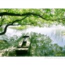 나무와 새 이미지