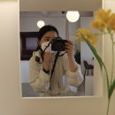 소라중앙초등학교 | 나홀로 제주동쪽여행 바트인제주에 다녀옴!