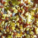 시루영농조합 이미지